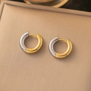 Simple Stainless Steel Minimalist Hoop Multicolor Earrings